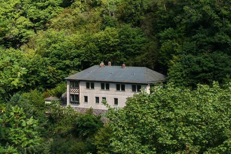 Haus Am Berg Villa Bad Bertrich Dış mekan fotoğraf